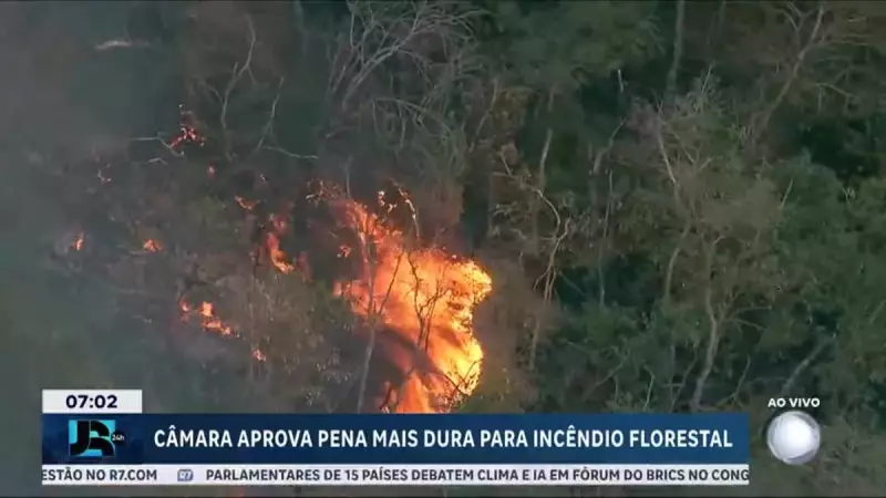 Câmara aprova penas mais rígidas para incêndios florestais: entenda as mudanças