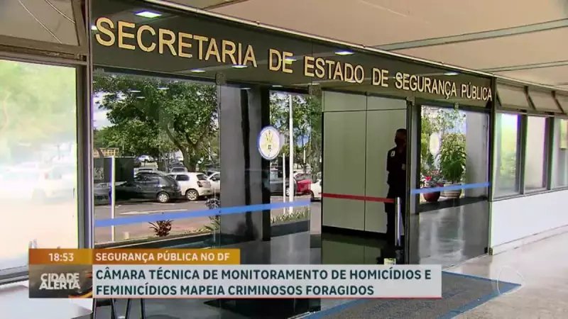 Câmara Técnica do DF Mapeia Foragidos e Intensifica Ações para Prevenir Feminicídios