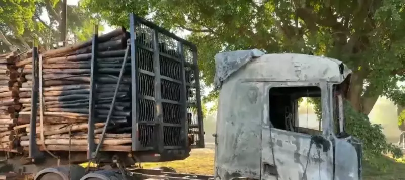 Caminhão com 74 toneladas de madeira pega fogo após colisão em rodovia de Limeira