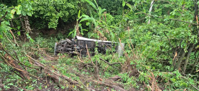 Caminhão despenca em ribanceira e deixa motorista ferido em Branquinha, AL
