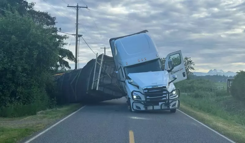 Caminhão tomba e libera enxame de 250 milhões de abelhas nos EUA — vídeo impressionante