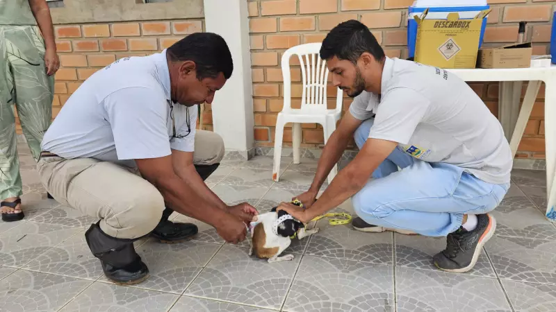 Campanha de vacinação contra raiva em Montes Claros: proteja seus pets!