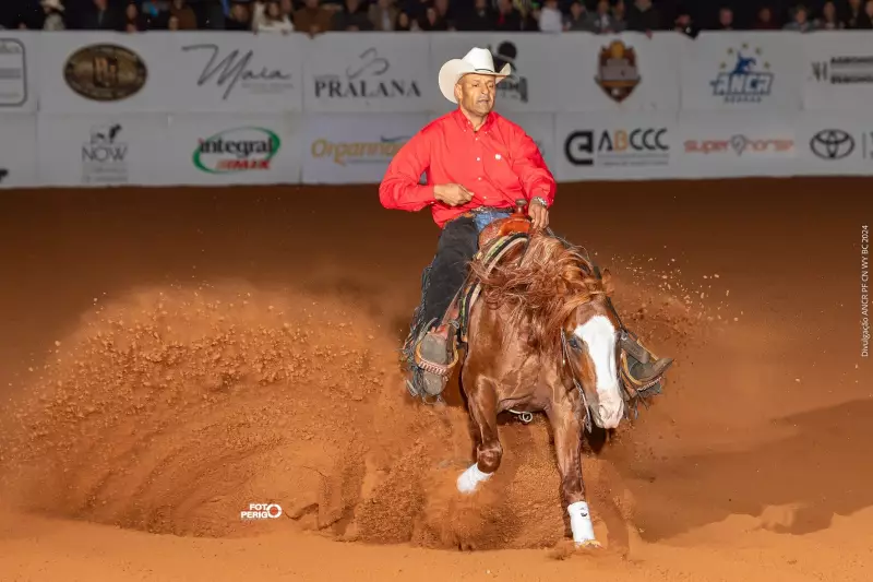 Campeonato Nacional de Rédeas em SP: Prêmio milionário, leilão de éguas e muito mais!