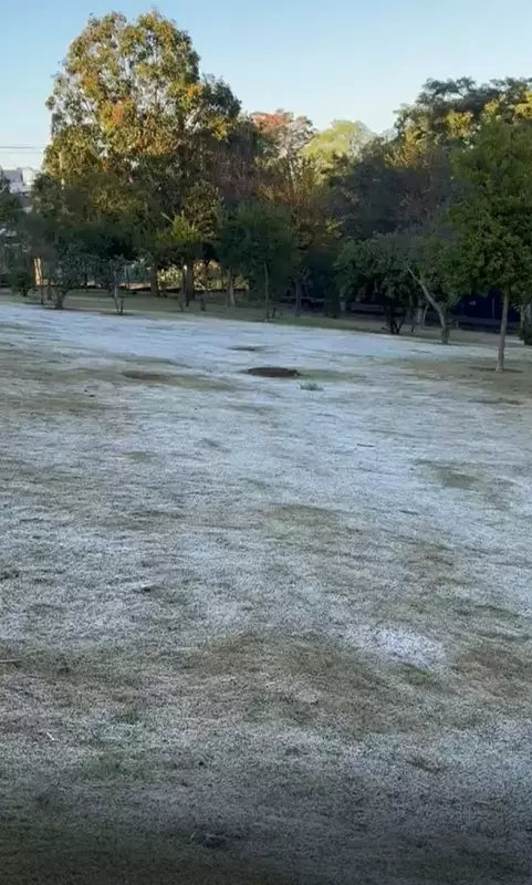 Campinas registra dia mais frio em 4 anos: carros congelados e gramado branco de geada