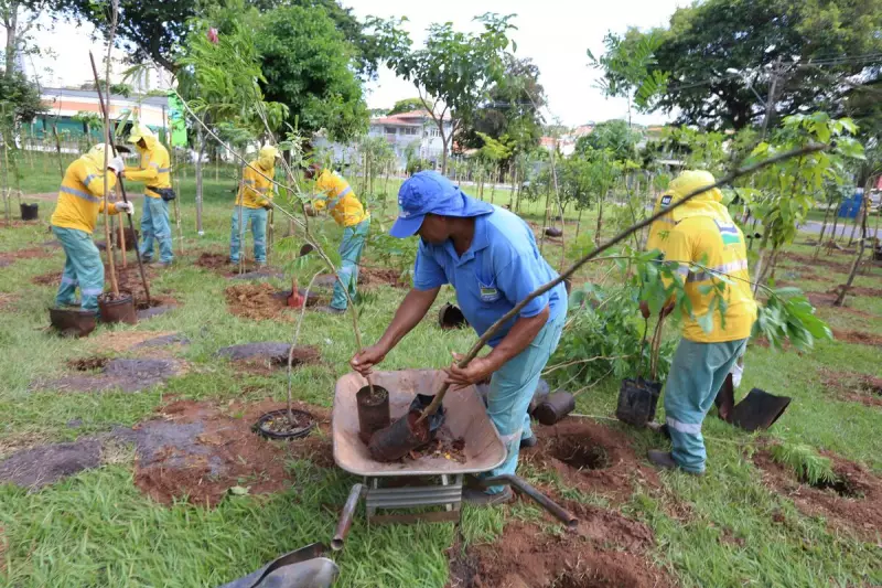Campinas sedia oficina do Plano Nacional de Arborização Urbana: saiba como participar