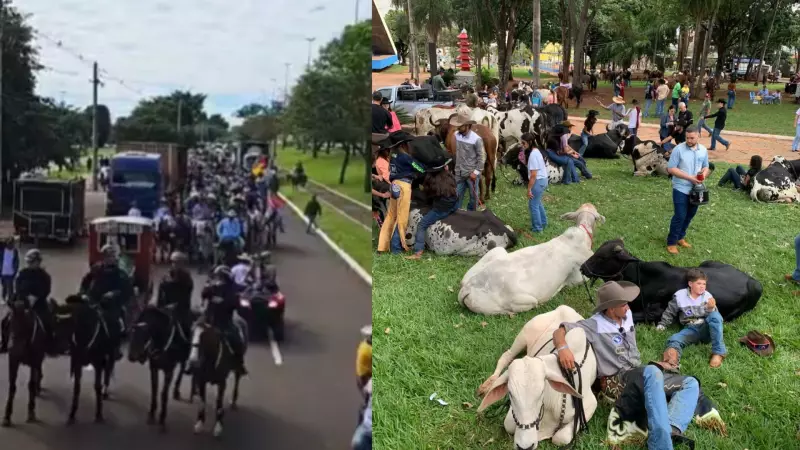 Campo Grande vibra com desfile de cavalos e touros na abertura do Brasileirão do Laço Comprido