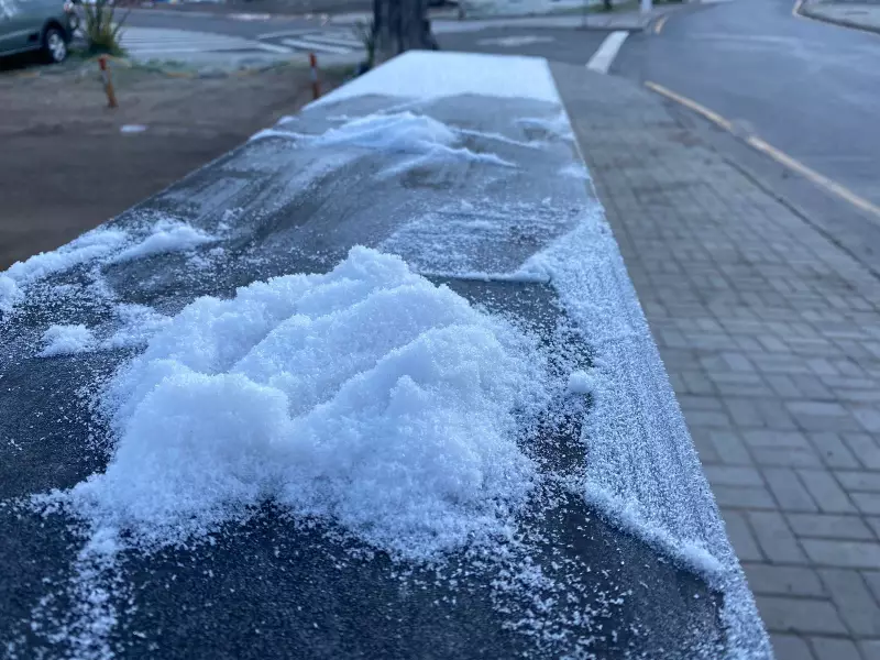 Campos do Jordão registra temperatura negativa e geada: recorde de frio no ano!