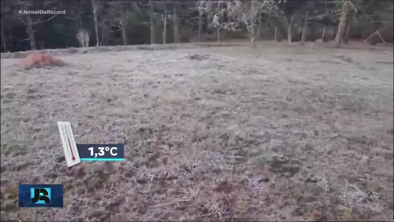 Campos do Jordão (SP) registra o dia mais frio do ano: veja os detalhes!