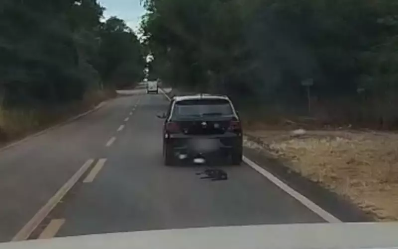 Cão é arrastado por carro na GO-154: vídeo choca e gera revolta nas redes