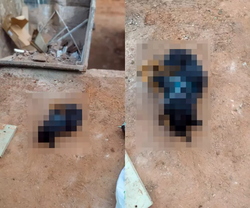 Cão é encontrado morto em Ecoponto de Araçatuba: caso de descarte irregular choca moradores