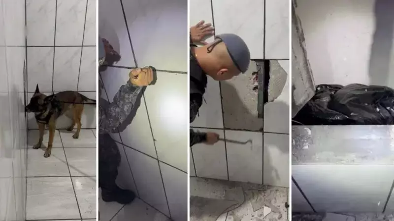 Cão policial descobre drogas escondidas em parede falsa de casa abandonada em SP