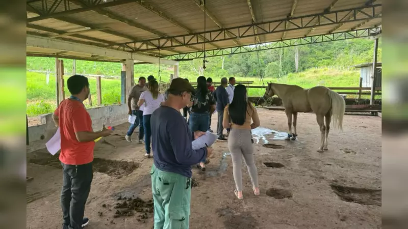 Capacitação em Santarém fortalece vigilância animal contra doenças equinas