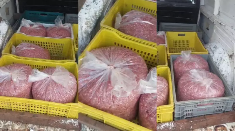 Carne estragada apreendida em BH: motorista planejava entregar a restaurantes na Savassi