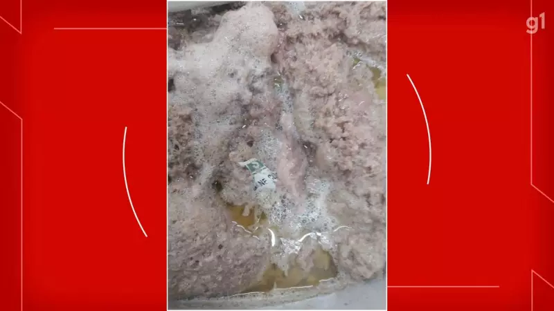 Carne gordurosa e plástico na merenda escolar: TCE-DF cobra explicações da Secretaria de Educação