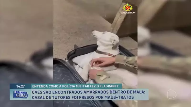 Casal é preso no DF ao tentar embarcar em ônibus com cães amarrados em mala e mochila