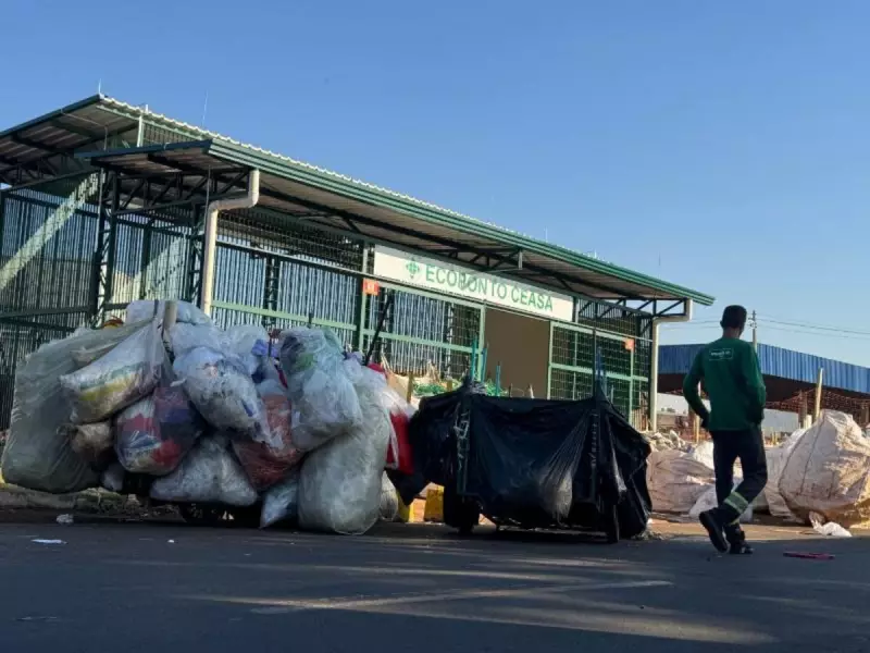 CEASA lança projeto com 50 ações sustentáveis e se destaca em práticas ambientais inovadoras
