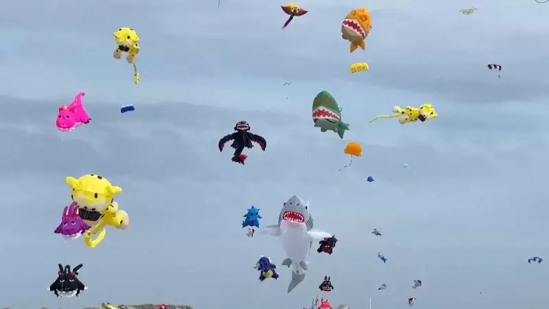 Céu da Dinamarca se transforma em espetáculo colorido no maior festival de pipas do mundo