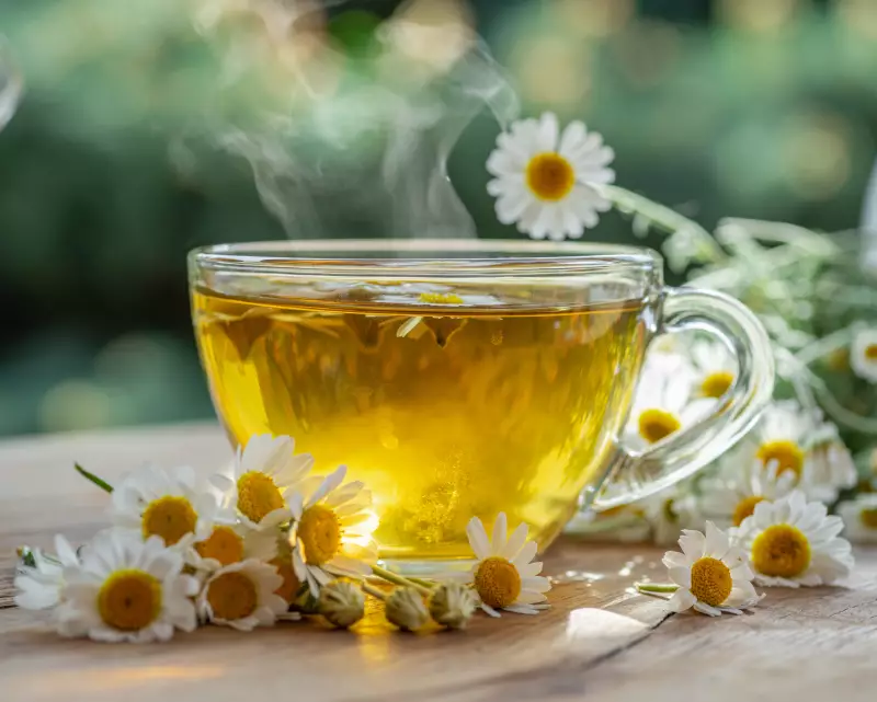 Chás anti-inflamatórios: camomila, erva-doce e chá-verde viralizam nas redes, mas o que diz a ciência?