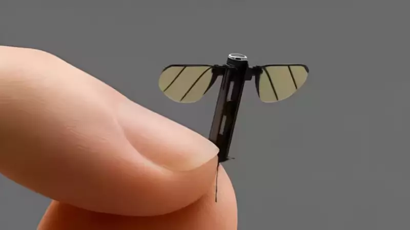 China revela drone-mosquito: espionagem do tamanho da palma da sua mão