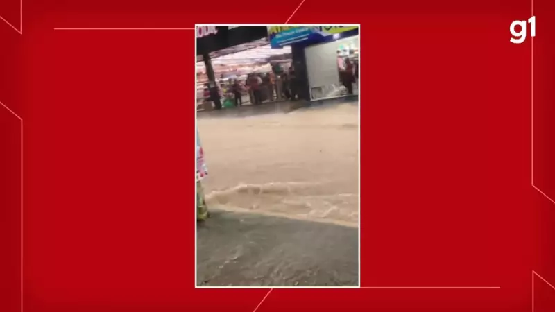 Chuva intensa causa alagamentos e transtornos em Santarém; veja imagens