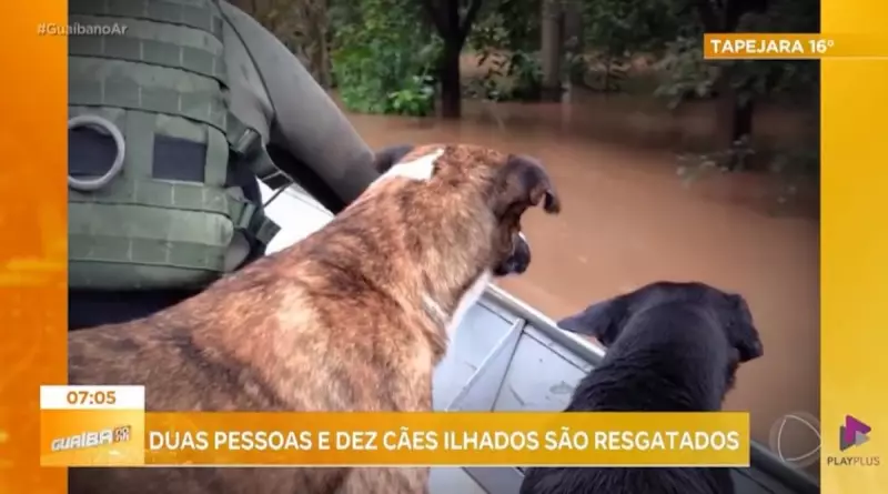 Chuvas intensas deixam pessoas e animais ilhados em Toropi, RS: resgates em ação