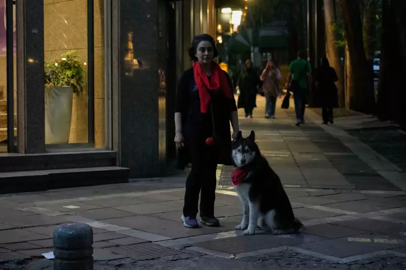 Cidades do Iraque ampliam restrições a passeios com cães em áreas públicas