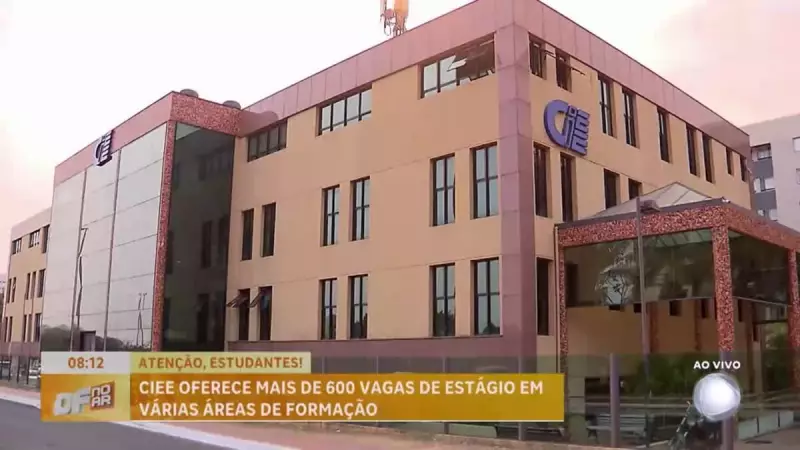 CIEE oferece 694 vagas de estágio no Distrito Federal: oportunidades para estudantes