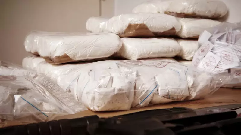 Cocaína bate recordes de produção com aumento de cultivo na Colômbia, alerta ONU