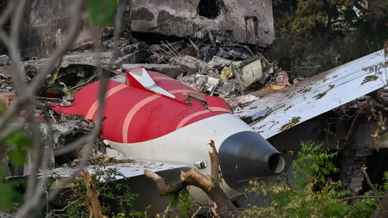 Colisão com aves pode ter causado queda de avião na Índia: entenda o caso