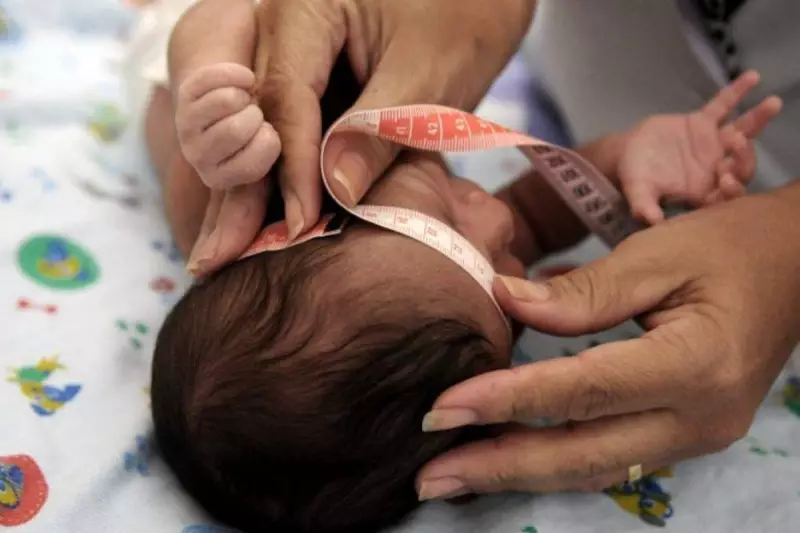 Congresso derruba veto e garante pensão vitalícia a vítimas do vírus Zika — saiba os detalhes
