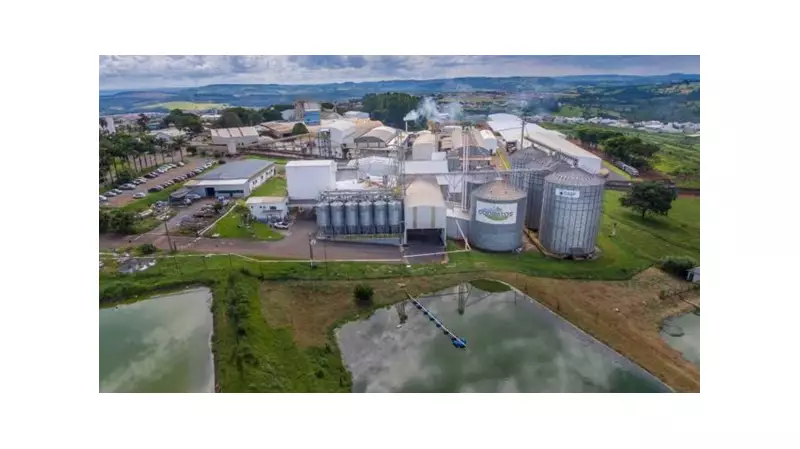 Coopatos: Garantindo a Excelência do Leite em Cada Etapa da Produção