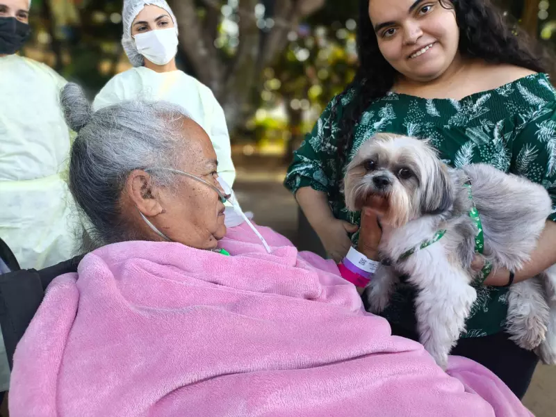 Coração quentinho: Paciente de 71 anos recebe visita emocionante de cachorro de estimação em hospital público do DF