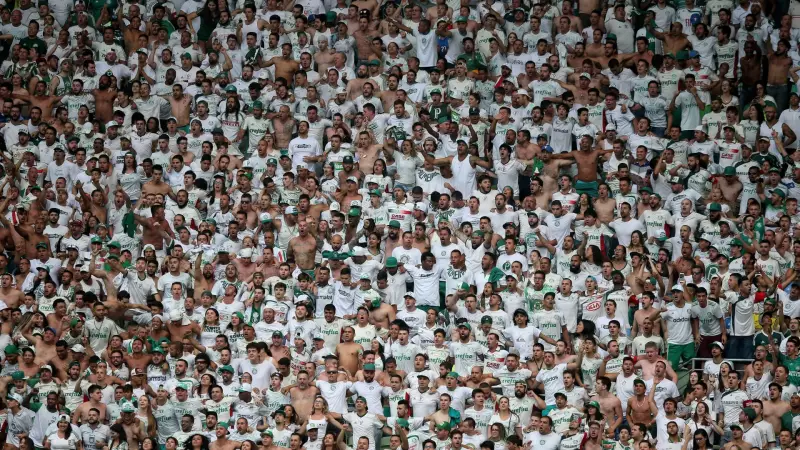 Corinthians pede punição mais dura ao Palmeiras por gritos homofóbicos: entenda o caso