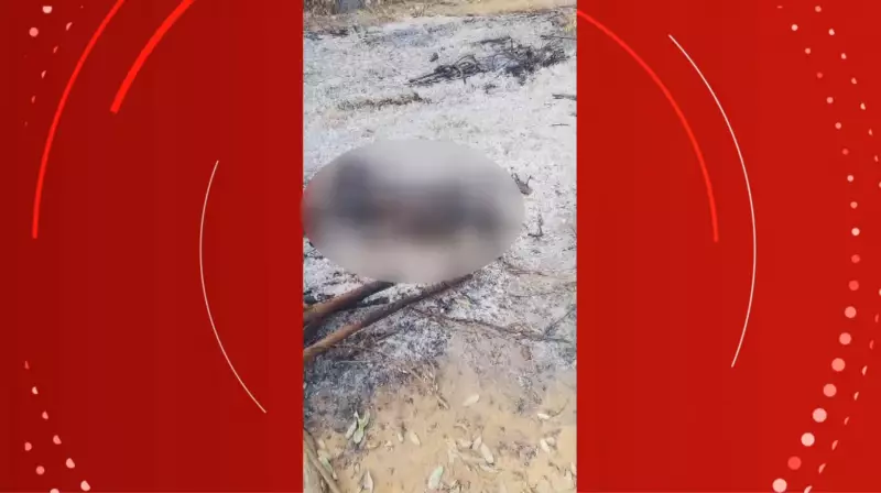 Corpo carbonizado é encontrado em área de descarte de resíduos em Itacarambi, MG