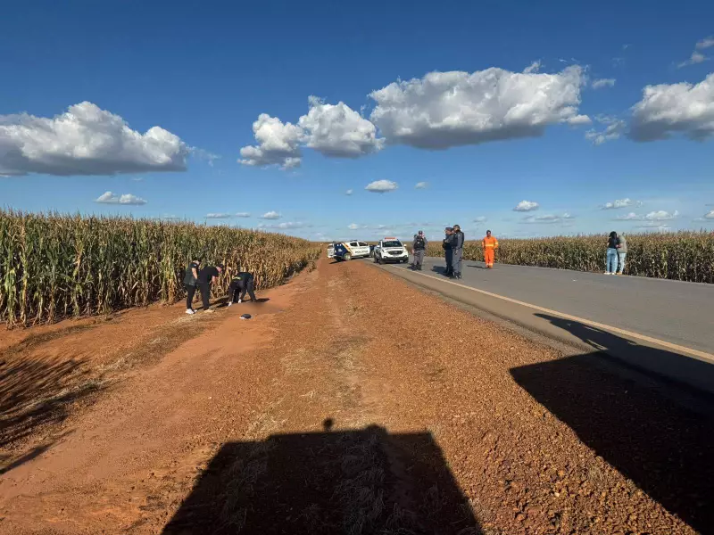 Corpo de homem é encontrado em milharal às margens de rodovia em MT; veja detalhes