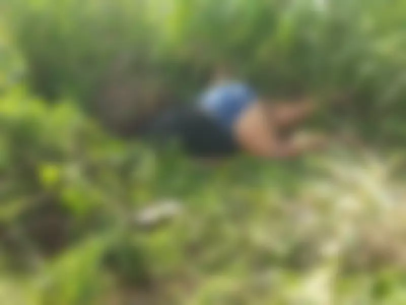 Corpo de mulher é encontrado às margens de rodovia em Jaramataia, Alagoas