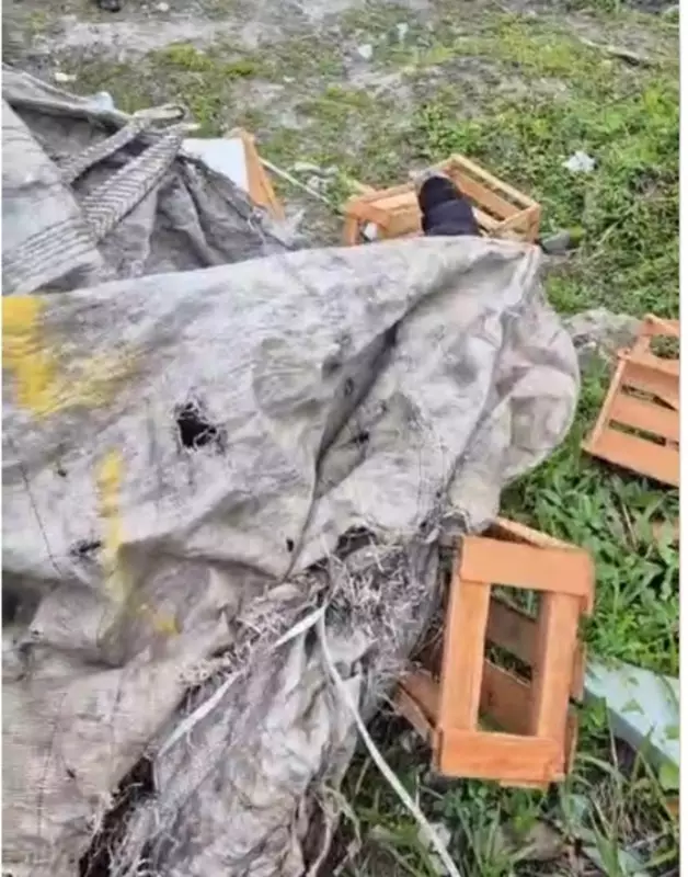 Corpo encontrado dentro de saco em mata de Suzano: polícia investiga crime