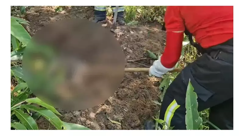 Corpo encontrado em São Miguel dos Milagres: polícia investiga possível homicídio