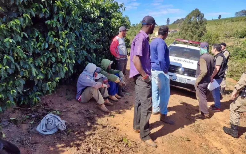 Criança de 12 anos resgatada em situação análoga à escravidão no Sul de Minas