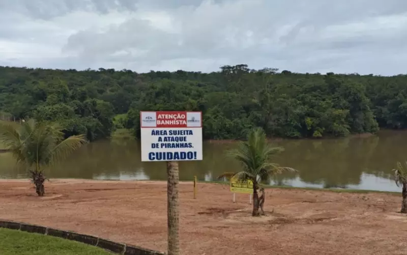 Criança perde dedos em ataque de piranha em Caldas Novas: saiba como evitar