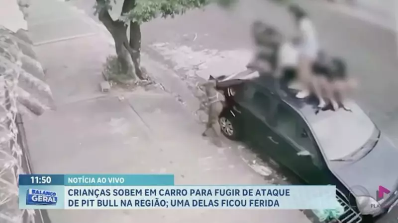 Crianças sobem em carro para escapar de ataque de Pitbull em Jaboticabal, SP