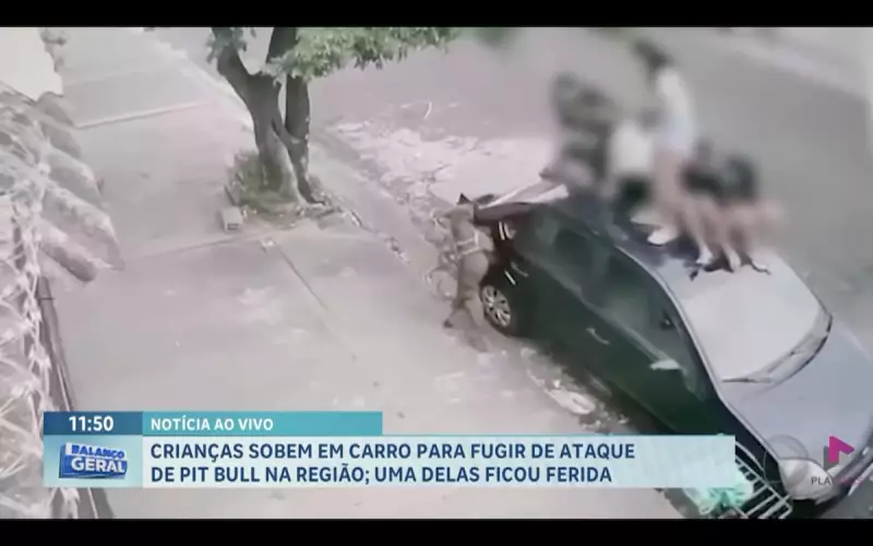 Crianças sobem em carro para fugir de ataque de pitbull em Jaboticabal, SP: veja o vídeo chocante