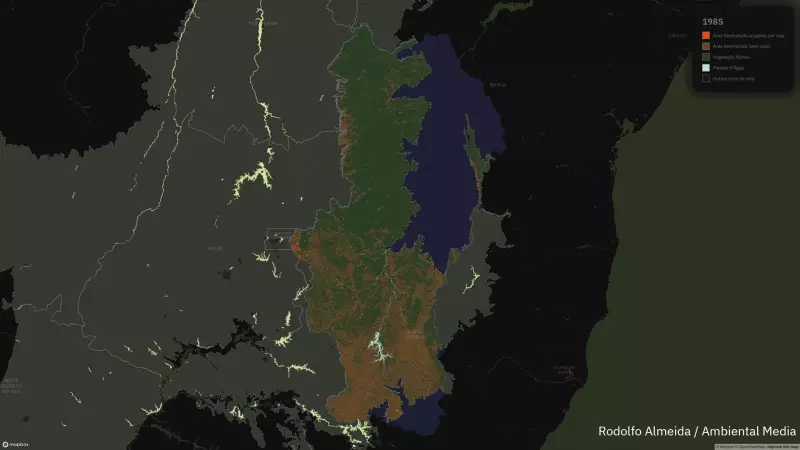 Crise hídrica no Cerrado: Bacias perdem 30 piscinas olímpicas por minuto desde os anos 70