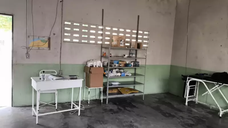 Cupins em posto de saúde indígena em RR: sindicato alerta para risco de contaminação