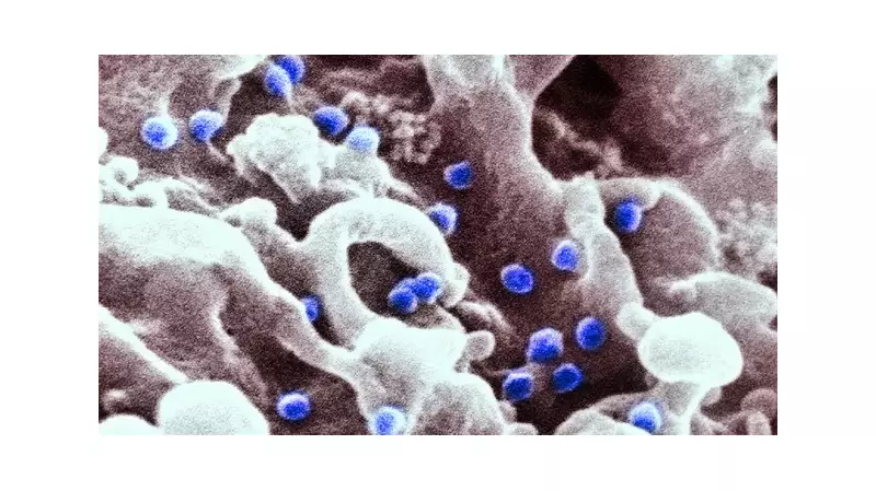 Cura do HIV ainda é desafio, mas nova descoberta científica reacende esperança