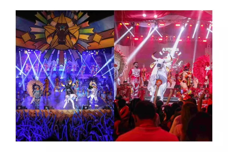 Currais do Caprichoso e Garantido: A atração imperdível antes do Festival de Parintins em 2025
