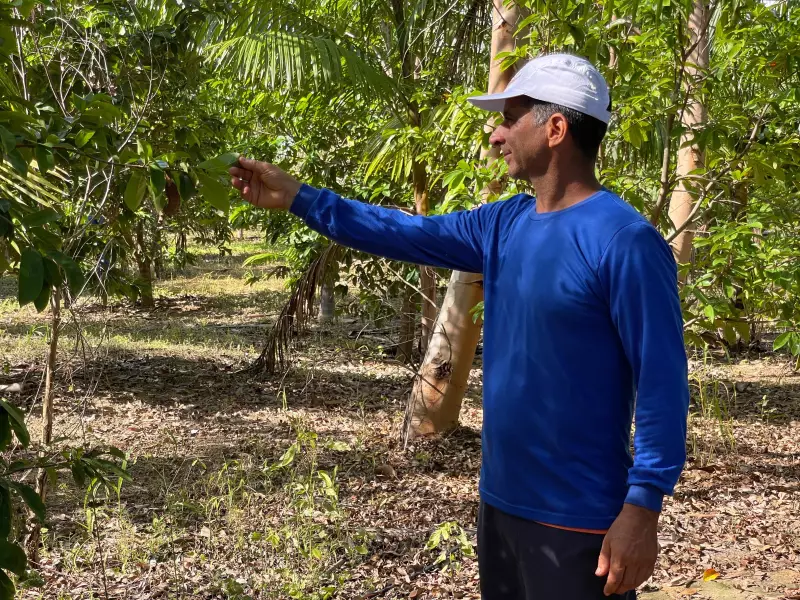 De eletricista a produtor rural: agricultor diversifica culturas e planeja expansão em Roraima