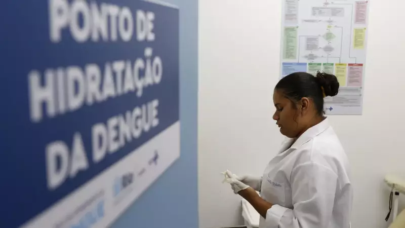 Dengue em São Paulo: 19 mortes confirmadas em 2025 e alerta para prevenção