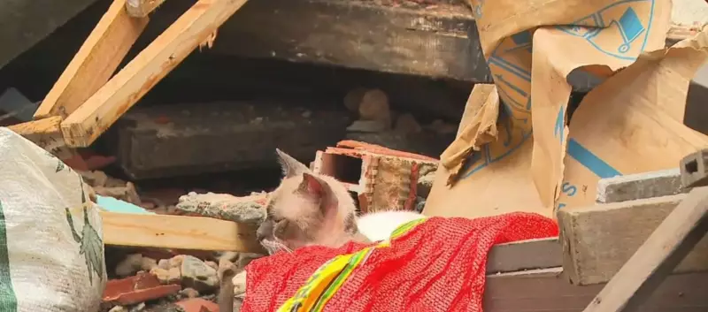 Desabamento de imóvel em Salvador deixa moradores em alerta: entenda o que aconteceu