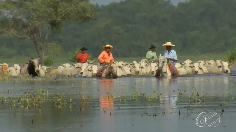Desafios e emoções: Acompanhe a cobertura da maior cheia do Pantanal em MT